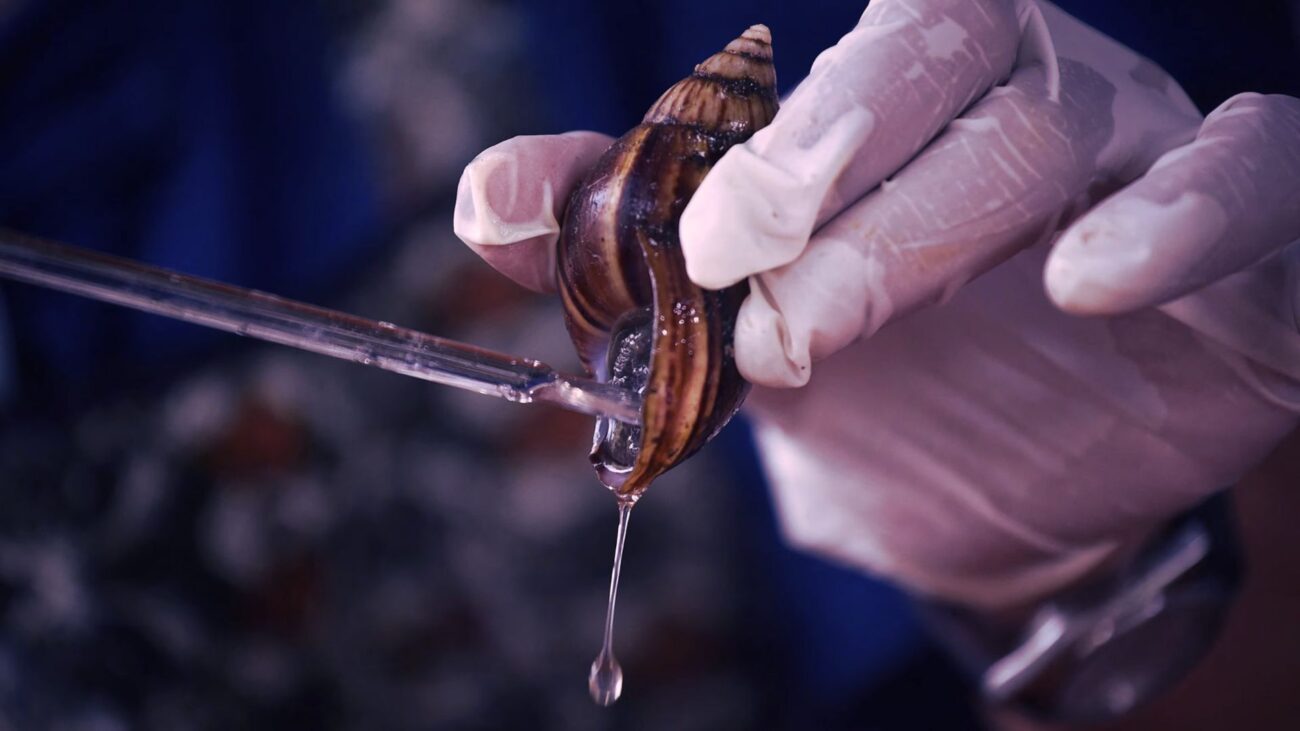 স্নেইল মিউসিন স্কিনকেয়ার দুনিয়ায় কেন এতো হিট?